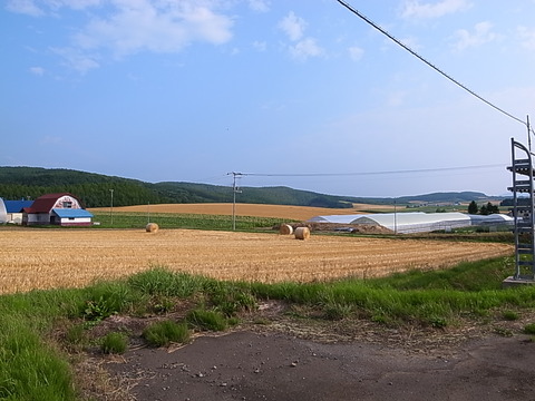 R0012087