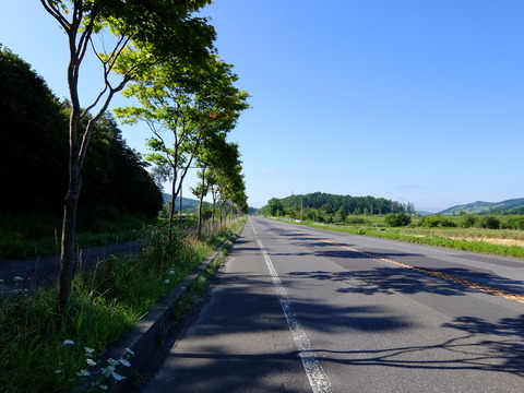 DSCF3408