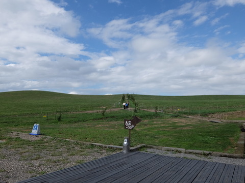 DSCF7409