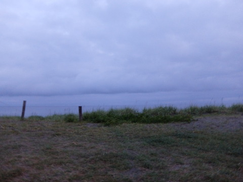 DSCF6825