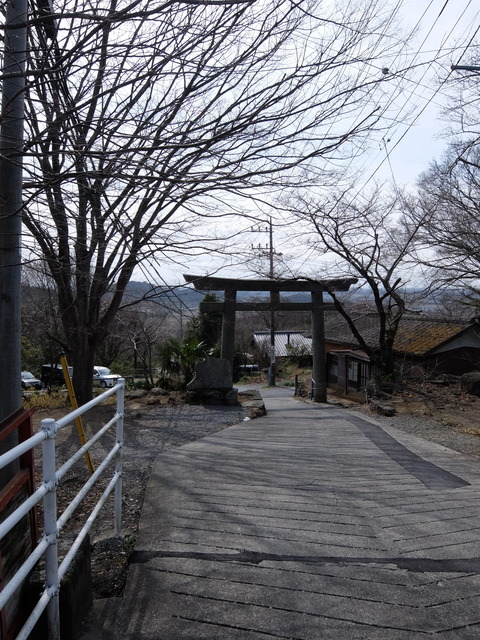 DSCF6309