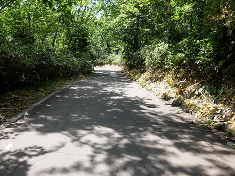 DSCF5038