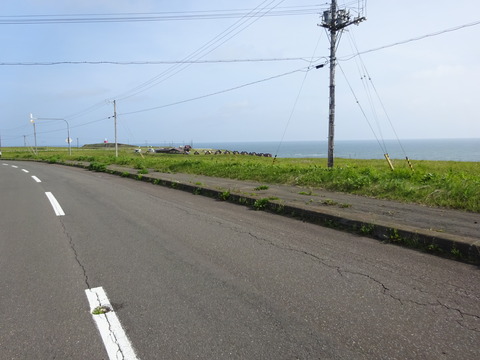 DSC00737