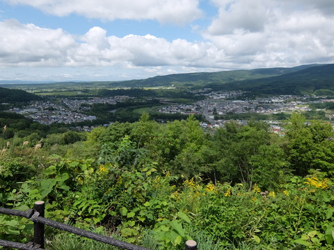 DSCF7491