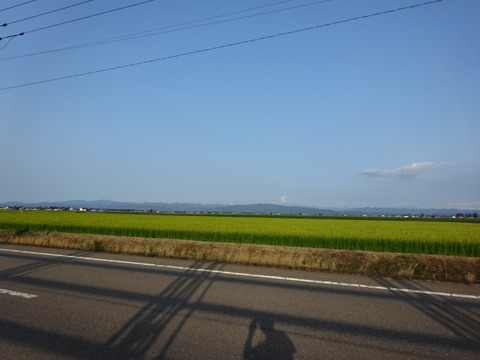 DSC00010