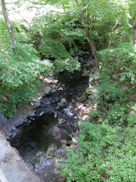 DSCF1788