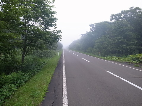 R0011313