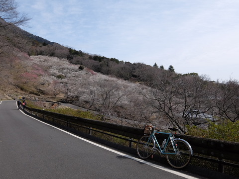 DSCF6306