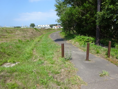 DSC00310
