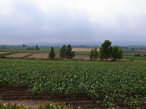 R0012139