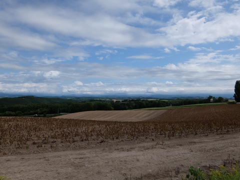 DSCF7382