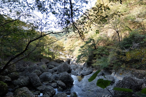 DSCF3576