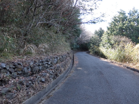 DSCF5983