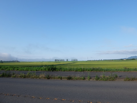 DSCF7573