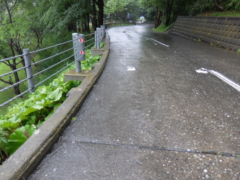 DSCF7098