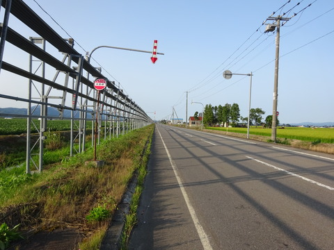 DSC00011