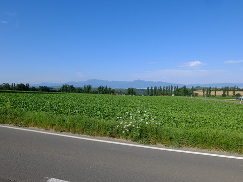 DSCF3268