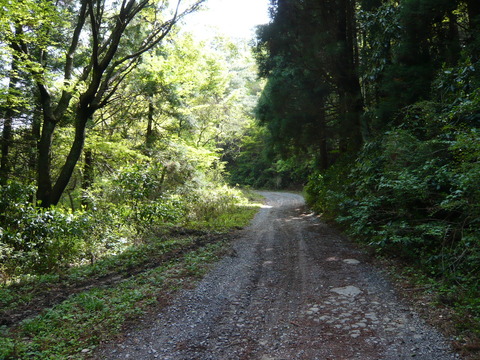 P1020065