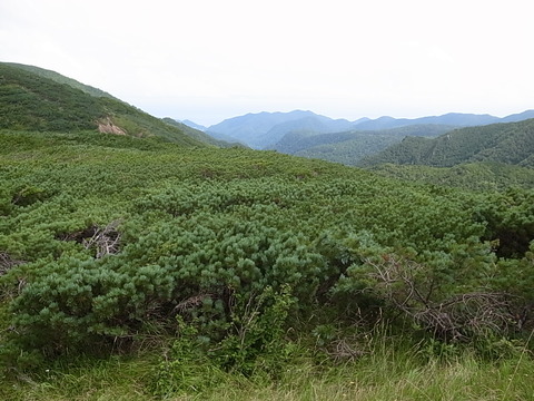 R0011403