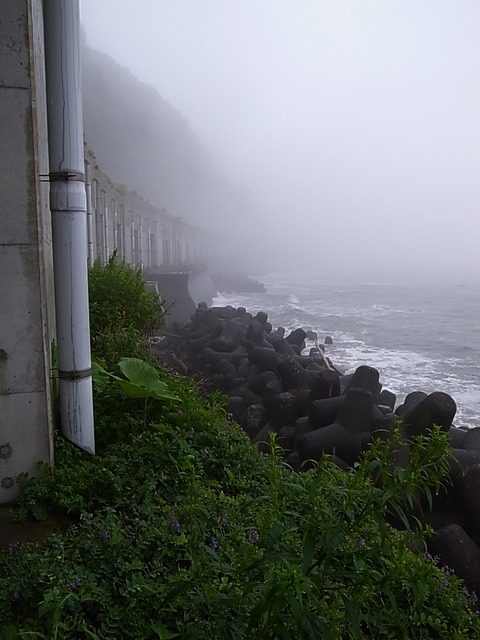 R0011265