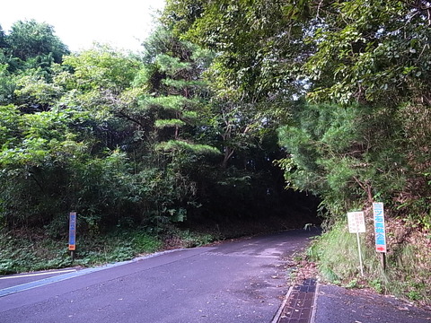 R0011556