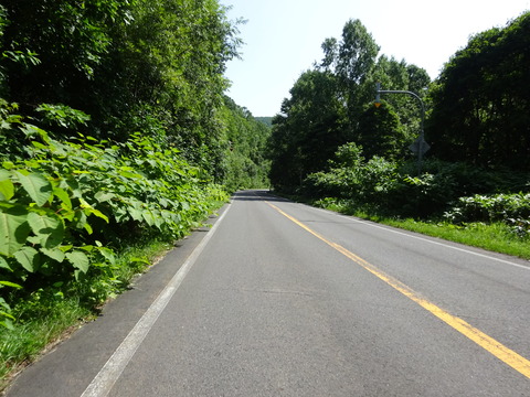 DSC00147