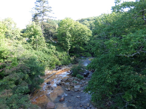 DSCF4938