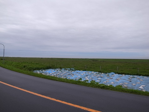 R0011326