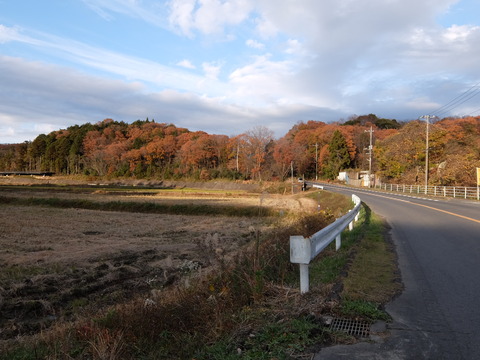 DSCF5890