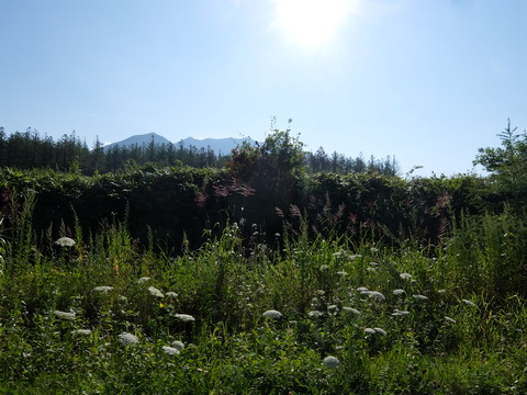DSCF3276