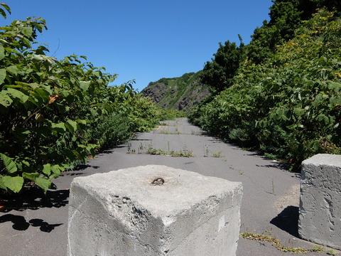 DSCF4288