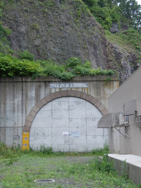 DSCF2585