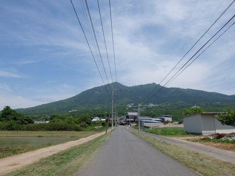 DSCF5578
