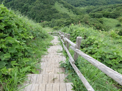 DSCF4634