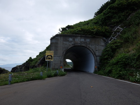 DSCF4219