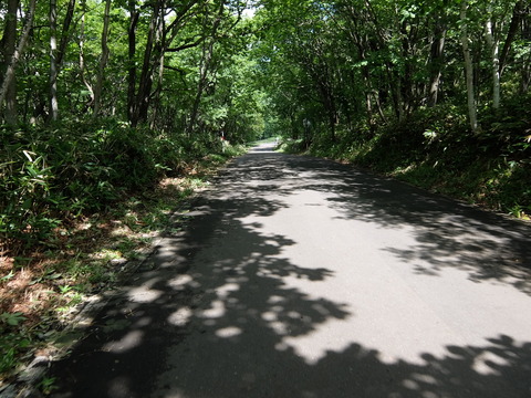 DSCF5031