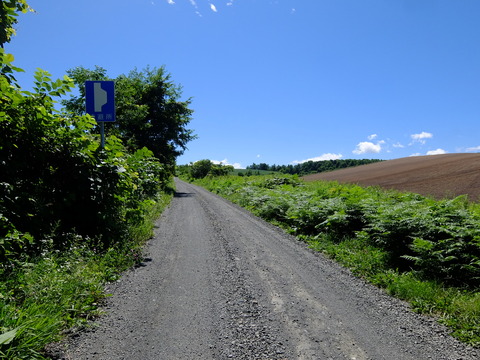 DSCF3169