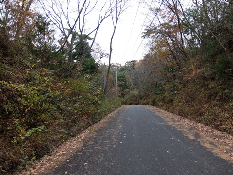DSCF5919