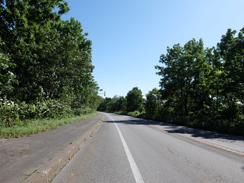 DSCF7307