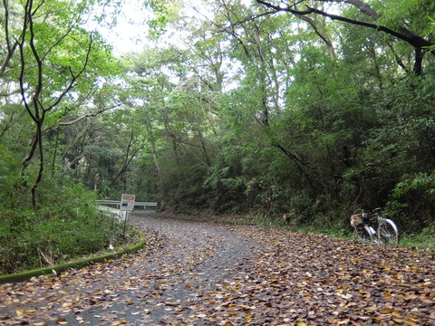 DSCF6416
