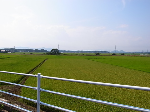 R0011804