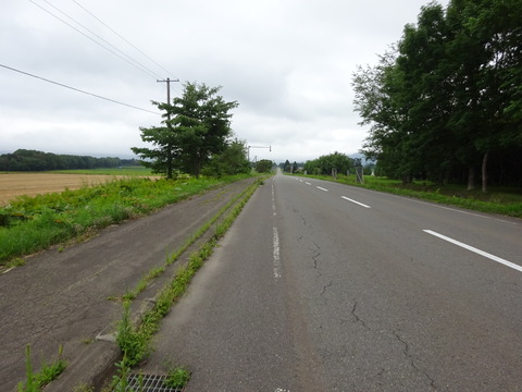 DSC00512