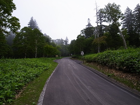 R0011926