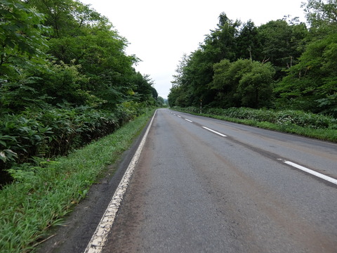 DSCF4047