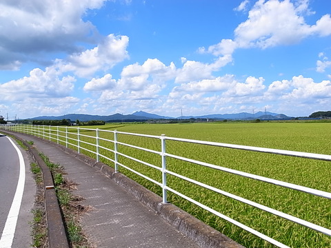 R0011521