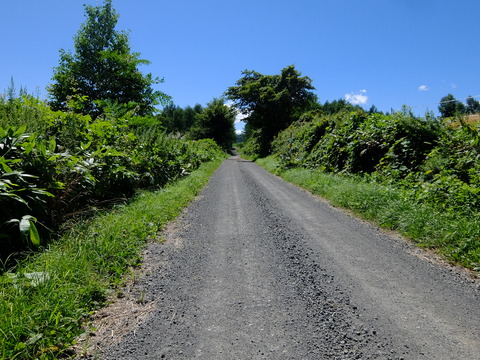 DSCF3177