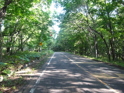 DSC00375