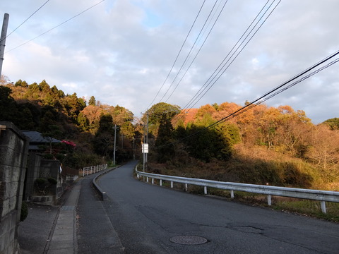 DSCF5892