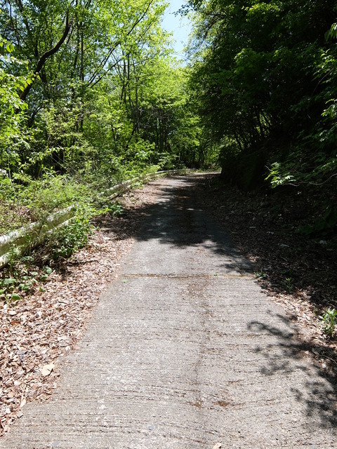 DSCF1820