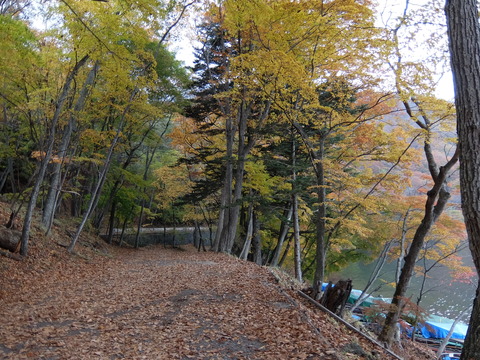 DSCF1959